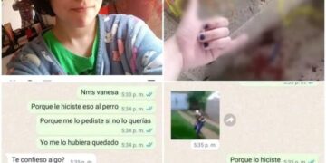 Justicia para Huellitas: Ya hay denuncia formal contra joven que torturó y degolló a perrito