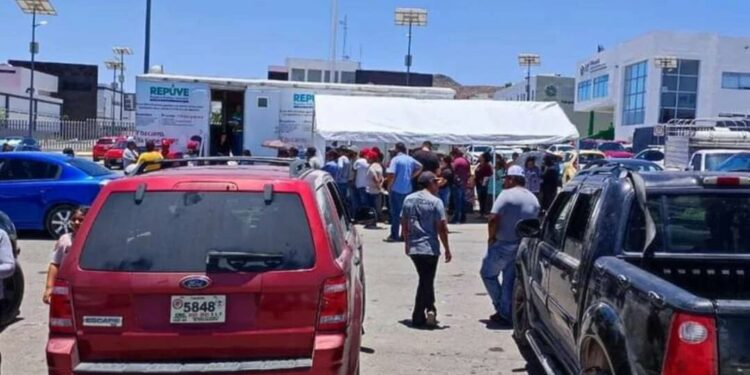 El 30 de junio vence el plazo para legalización de autos “chocolate” en SLP; así puedes hacer el trámite