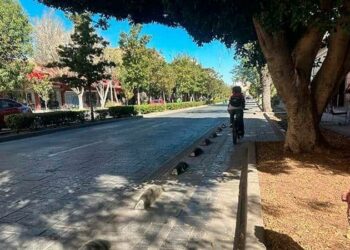 Ciclovía se mudaría a Av. Arista