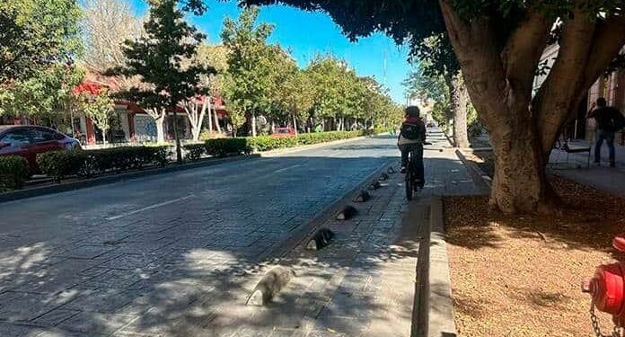 Ciclovía se mudaría a Av. Arista