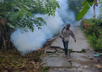 SLP registra 14 casos confirmados de dengue; prevén un incremento de contagios