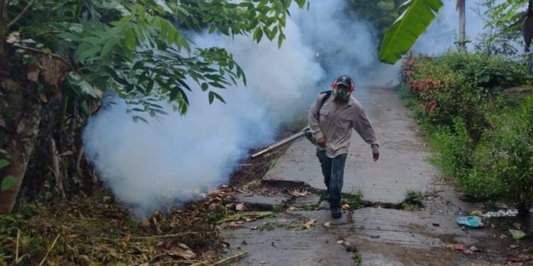 SLP registra 14 casos confirmados de dengue; prevén un incremento de contagios
