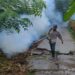 SLP registra 14 casos confirmados de dengue; prevén un incremento de contagios