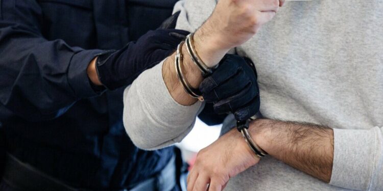Arrestan a 3 jóvenes por robar y comerse a una mamá cisne en Nueva York