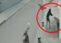 VIDEO: Hombre asesinó a un perro a tiros en Puebla, lo persiguió varios metros mientras huía por su vida