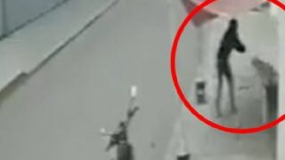 VIDEO: Hombre asesinó a un perro a tiros en Puebla, lo persiguió varios metros mientras huía por su vida