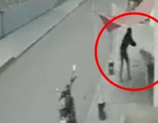 VIDEO: Hombre asesinó a un perro a tiros en Puebla, lo persiguió varios metros mientras huía por su vida