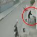 VIDEO: Hombre asesinó a un perro a tiros en Puebla, lo persiguió varios metros mientras huía por su vida