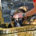 ¿Sabías que tu lomito también puede sufrir un golpe de calor? Cuídalo así de las altas temperaturas