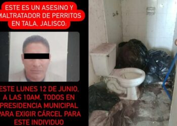 Detienen a mataperros en Jalisco; encuentran 10 bolsas con restos