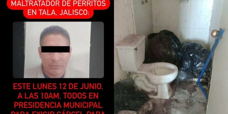 Detienen a mataperros en Jalisco; encuentran 10 bolsas con restos