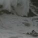 VIDEO: Rescatan a surfista de una ola gigante en Portugal