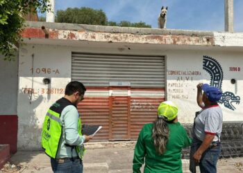 Por ola de calor, intensifican operativo en Soledad para identificar perritos en las azoteas