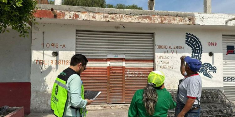 Por ola de calor, intensifican operativo en Soledad para identificar perritos en las azoteas