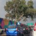 En dos años, 150 árboles urbanos han muerto en la capital de SLP por podas ilegales