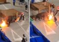 VIDEO: Joven recibe cornada luego de prenderle fuego a un toro