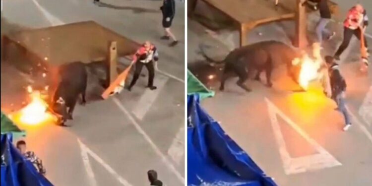 VIDEO: Joven recibe cornada luego de prenderle fuego a un toro