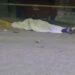 Un muerto en riña pandilleril, en Tlaxcala