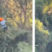 VIDEO: Niño de seis años cae desde los 12 metros en tirolesa de Parque Fundidora de Monterrey
