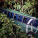 Autobús cae a un barranco cerca de Xilitla; un hombre murió y una mujer resultó lesionada
