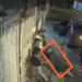 VIDEO: Hombre balea a su amigo por querer disparar al aire como “homenaje” en velorio