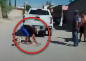VIDEO: Perro es arrastrado por camioneta en Río Verde, San Luis Potosí
