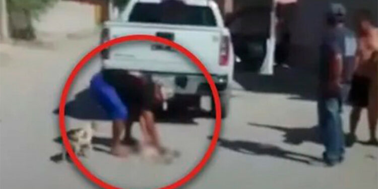 VIDEO: Perro es arrastrado por camioneta en Río Verde, San Luis Potosí