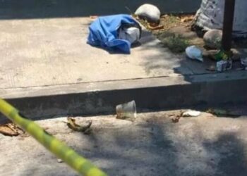 Perros devoran a recién nacido abandonado en la basura