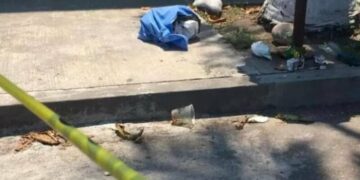 Perros devoran a recién nacido abandonado en la basura