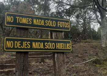 Armadillo de los Infante, ¿qué hacer en el próximo destino astronómico de SLP?