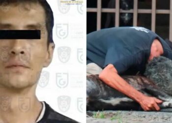 Vinculan a proceso al presunto asesino del perrito Zeus