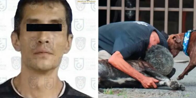 Vinculan a proceso al presunto asesino del perrito Zeus