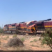 VIDEO: Tren se descarrila en la comunidad de San Juanico el Chico