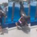 VIDEO: ¿La mató? León marino salta de alberca y aplasta a su cuidadora
