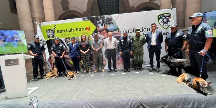 VIDEO: Se jubilan lomitos de la Policía Municipal