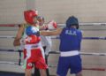 Función gratuita de box este domingo