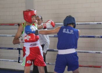 Función gratuita de box este domingo