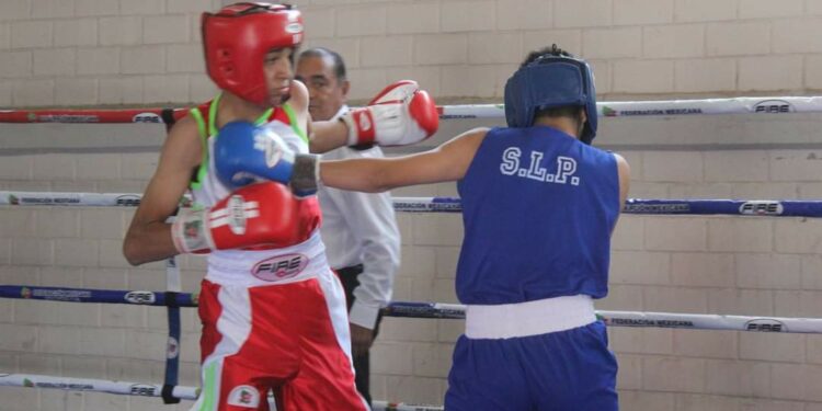 Función gratuita de box este domingo