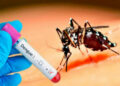 Alertan por aumento de los casos de dengue