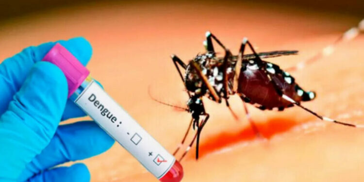 Alertan por aumento de los casos de dengue