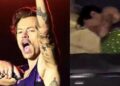 VIDEO: Harry Styles fue golpeado en la cara con un objeto en concierto