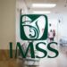 IMSS revela hallazgos de la investigación del caso Ahitana… y señala a Mikel Arriola