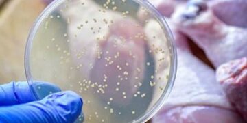 13 personas intoxicadas de salmonella vinculada a mal manejo de los alimentos en Matlapa