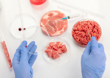 Autorizan venta de carne cultivada en laboratorio en Estados Unidos
