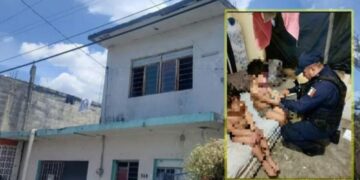 Rescatan a dos niños que estaban amarrados en casa de Nuevo León