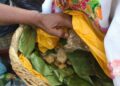 Enchiladas Huastecas, un manjar con auténtico sabor de la Huasteca de San Luis Potosí