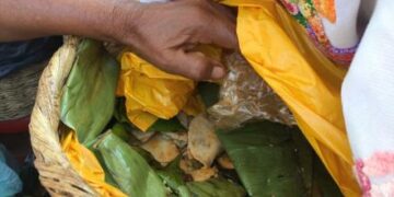 Enchiladas Huastecas, un manjar con auténtico sabor de la Huasteca de San Luis Potosí