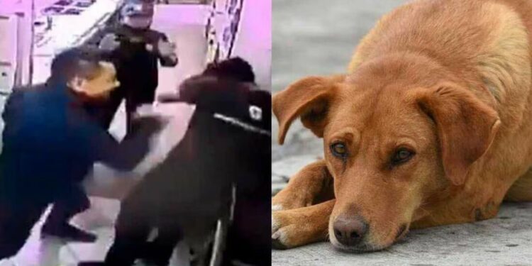 Denuncian al atacante de empleado de Subway en SLP ahora por crueldad animal