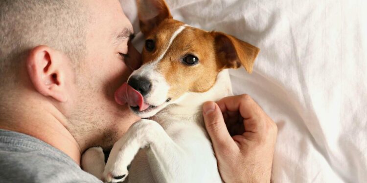 ¿Cómo es un perro de apoyo emocional?