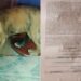 Dueño de perrito ahorcado en Rioverde, SLP, denuncia a presunta asesina